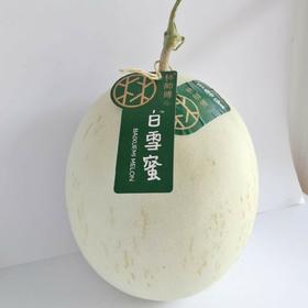海南白雪蜜瓜1.3kg-1.5kg