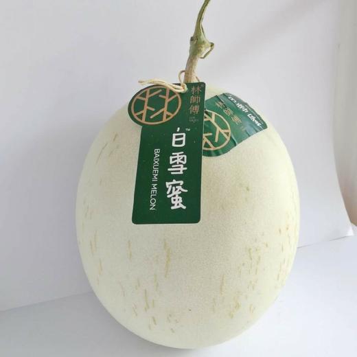 海南白雪蜜瓜1.3kg-1.5kg 商品图0