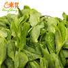 东升农场 有机豆苗 豌豆苗 龙须菜 200g  广州供港新鲜蔬菜配送 商品缩略图3
