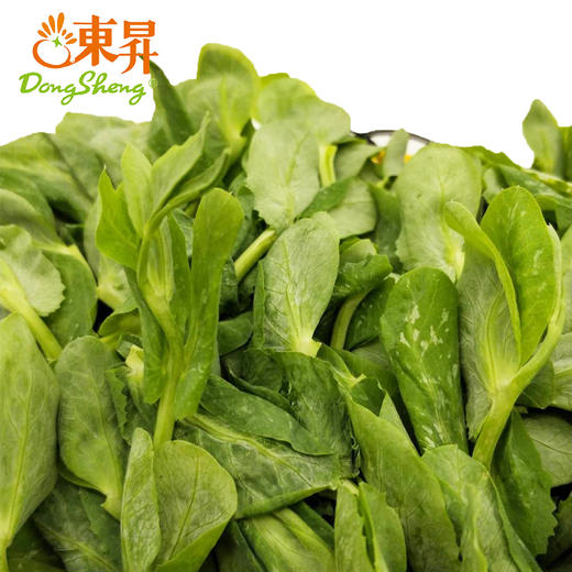 东升农场 有机豆苗 豌豆苗 龙须菜 200g  广州供港新鲜蔬菜配送 商品图3
