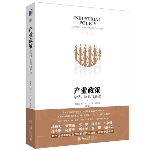 《产业政策：总结、反思与展望》 商品图0
