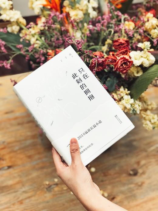 现货 只在此刻的拥抱 丁丁张2018 长篇小说 犀利 幽默 毒蛇 深情 文学 小说 果麦图书 商品图2