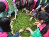 【3月-5月】588起，蒲江喜来登X成佳茶海之旅，豪华房1晚+自助早餐+采茶制茶品茶~ 商品缩略图0
