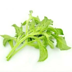 冰草150g