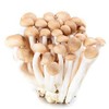 蟹味菇120g - 德添 商品缩略图0