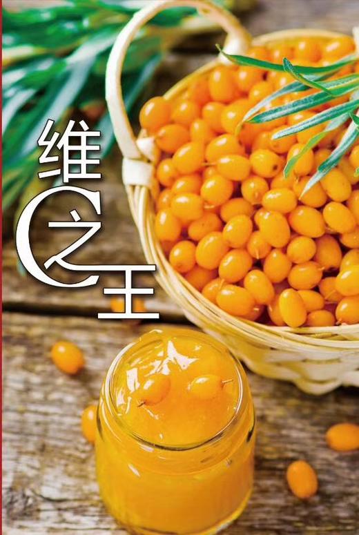 新疆沙棘100%原浆  238ml*6瓶 商品图1
