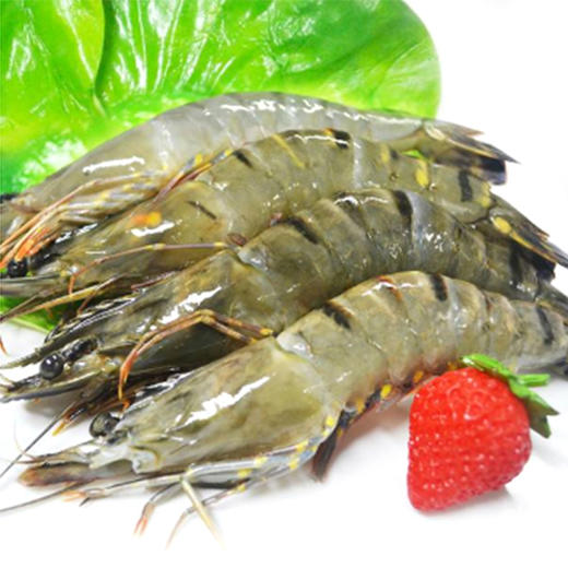 蓝雪黑虎虾(单冻）10-14只每盒/500g【保质期至2019-07-14】 商品图0