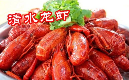精品龙虾 商品图0