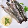 蓝雪黑虎虾(单冻）10-14只每盒/500g【保质期至2019-07-14】 商品缩略图1