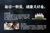 海兰白鸡蛋 商品缩略图1