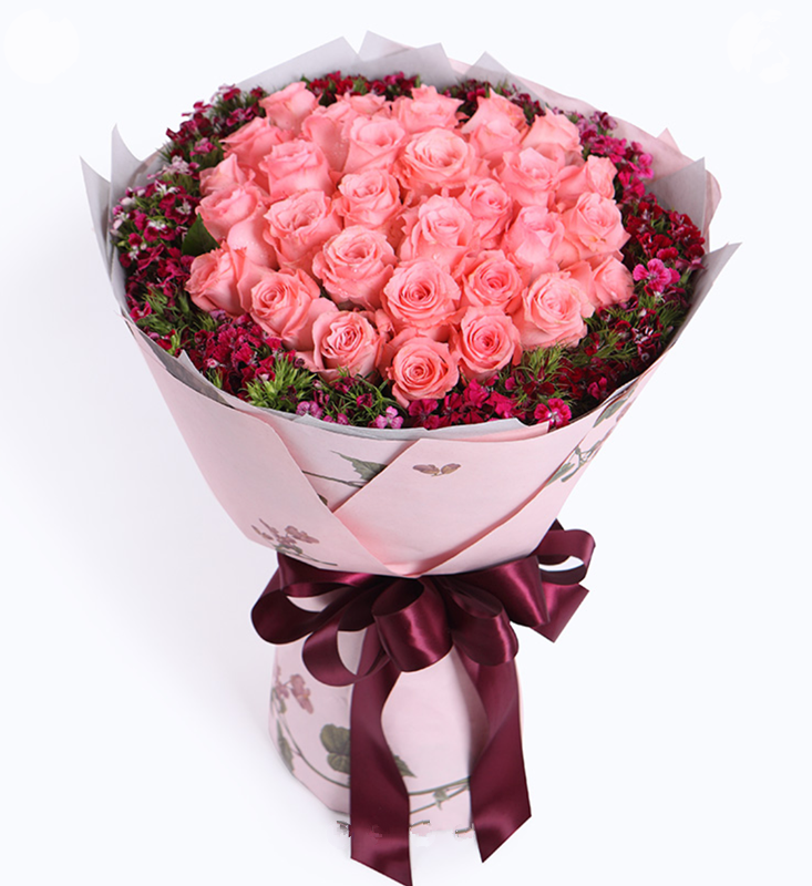 眷念--戴安娜粉玫瑰33枝，石竹梅围绕 内层银灰色厚棉纸，外层豌豆花压纹纸，紫红色缎带花结（1051）