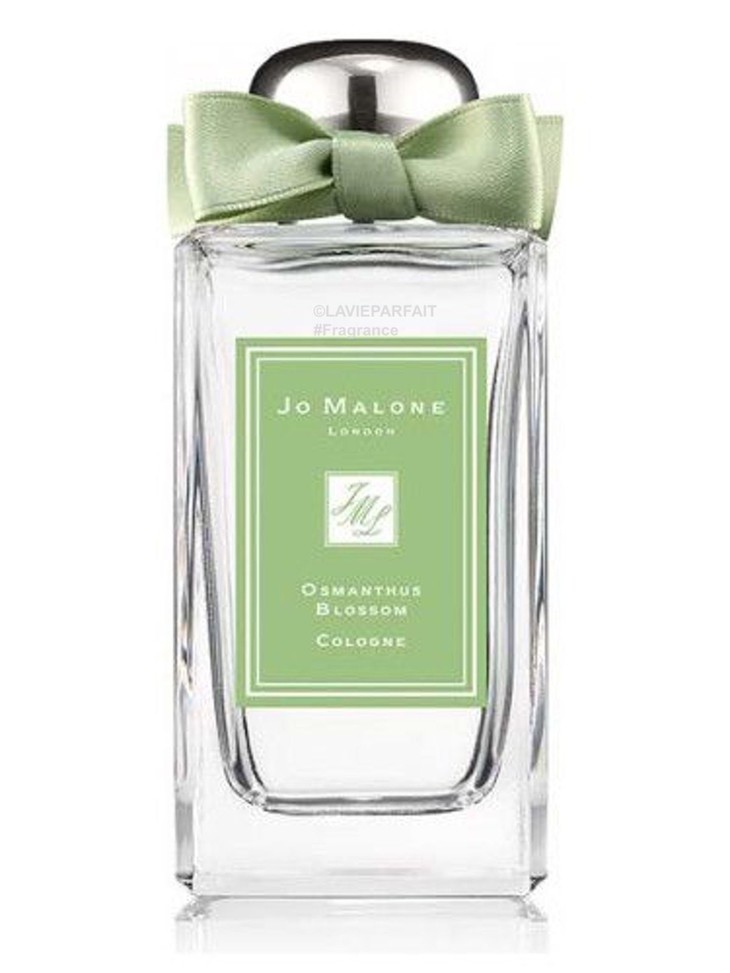 jo malone 祖马龙 osmanthus blossom 限量款桂花香氛
