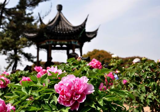 （永久下架）水韵江苏 —春游虞城慢生活 商品图0