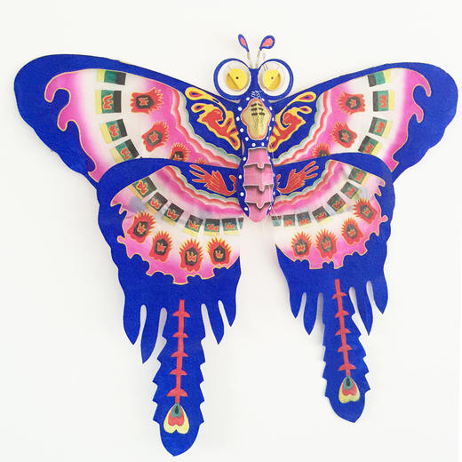 国际风筝工艺大师杨红卫风筝作品 山东潍坊大风筝 飞上天的工艺品 商品图3