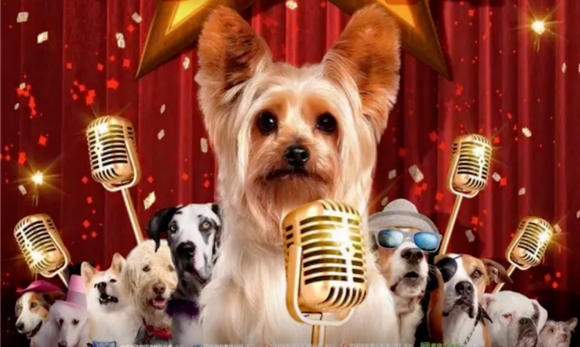 萌犬好声音图片