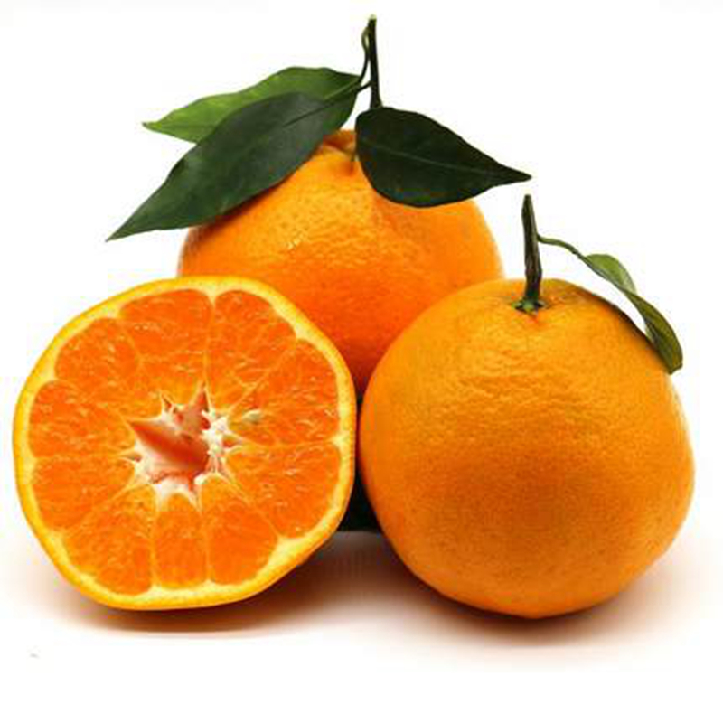 ĴٰҰҸ ˮʱӳ۴θ