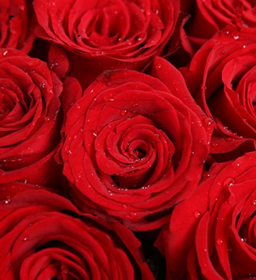 缘分天空--红玫瑰19枝，混色石竹梅围绕 咖啡色英文报纸，咖啡色缎带花结(1102) 商品图1