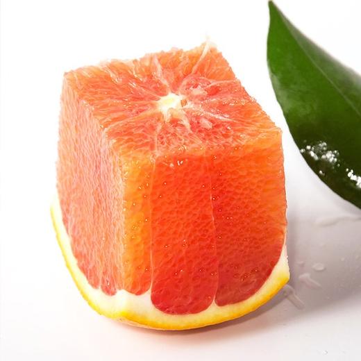 卡拉卡拉红肉血橙 商品图0