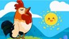 【视频作文】公鸡老黑 商品缩略图0
