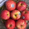 新西兰佳丽果/苹果（12颗） 商品缩略图0