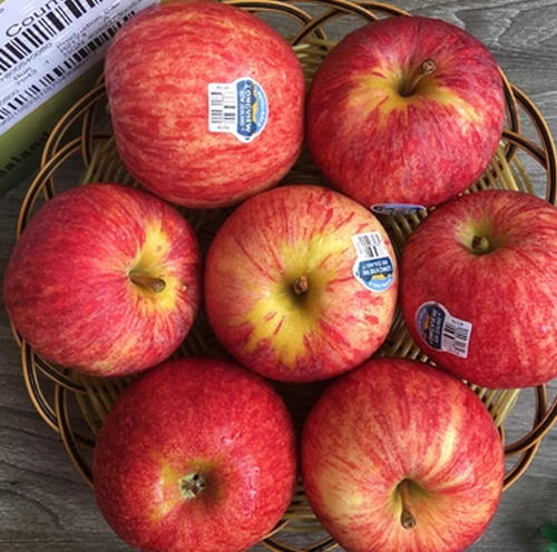 新西兰佳丽果/苹果（12颗） 商品图0