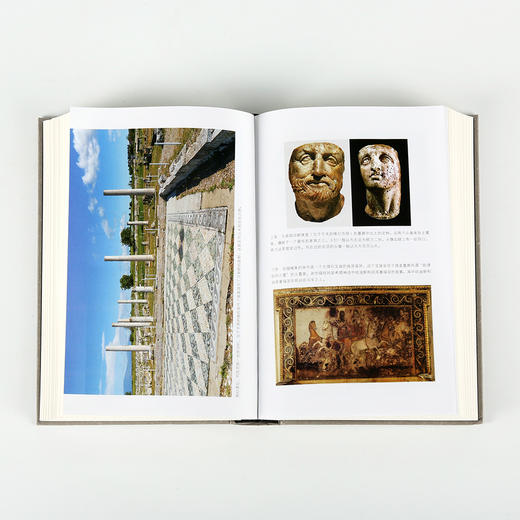 马其顿的亚历山大(  追寻亚历山大的脚步，直面这位伟大征服者的内心世界遍历) 商品图4