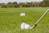 FlightScope 迷你雷达MEVO 高尔夫室内挥杆练习器 商品缩略图2