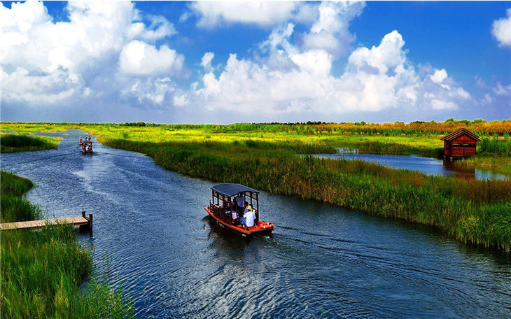 6徜徉最美湿地,赏千亩油菜花海,逛