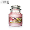 Yankee candle扬基进口香薰蜡烛香氛优典玻璃瓶装104g 商品缩略图0