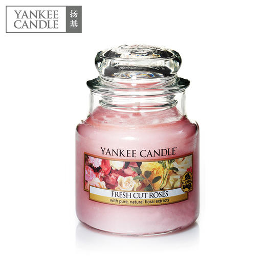 Yankee candle扬基进口香薰蜡烛香氛优典玻璃瓶装104g 商品图0