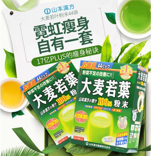 【海外直邮】山本汉方  大麦若叶青汁粉末 青汁抹茶代餐粉    3g*44袋 商品图0