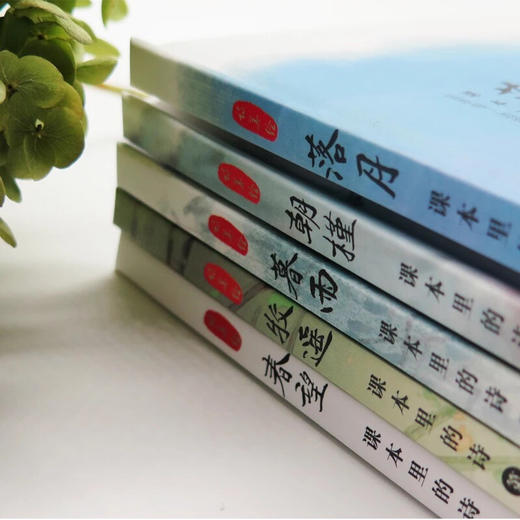 （永久下架）课本里的诗 商品图3