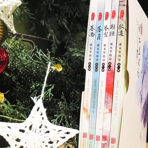 （永久下架）课本里的诗 商品图4
