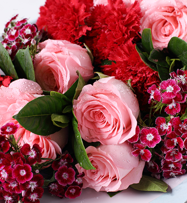 馨情无限---戴安娜粉玫瑰11枝,红色康乃馨11支,红色石竹梅4枝,栀子叶4