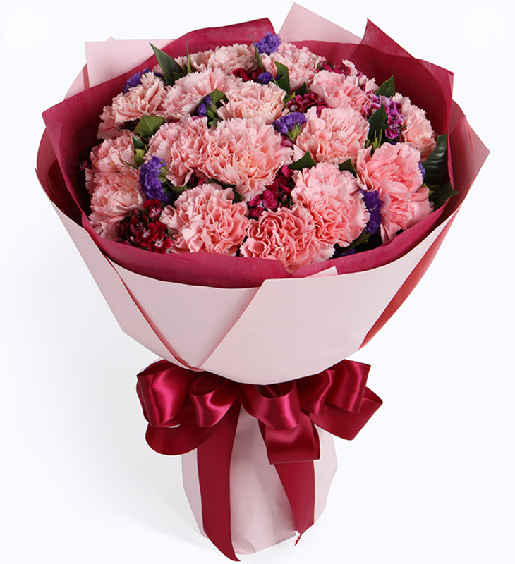 幸福绽放---粉色康乃馨19枝，搭配适量石竹梅、紫色勿忘我、栀子叶 内层紫红色不织布，外层粉色白牛皮纸，玫红色缎带花结（1199）