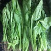 【禾春元食品】禾春元 原生态菠菜  1份/约500G/约350G （林晓晴的菜 ） 商品缩略图0