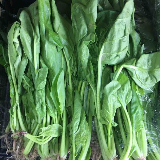 【禾春元食品】禾春元 原生态菠菜  1份/约500G/约350G （林晓晴的菜 ） 商品图0