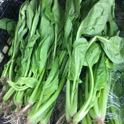 【禾春元食品】禾春元 原生态菠菜  1份/约500G/约350G （林晓晴的菜 ） 商品图1