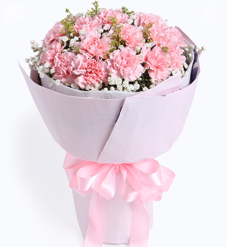 感恩密码----19枝粉康乃馨,满天星+黄莺适量搭配 内层白色皱纸，外层粉色平面纸，粉色缎带花结(1195)