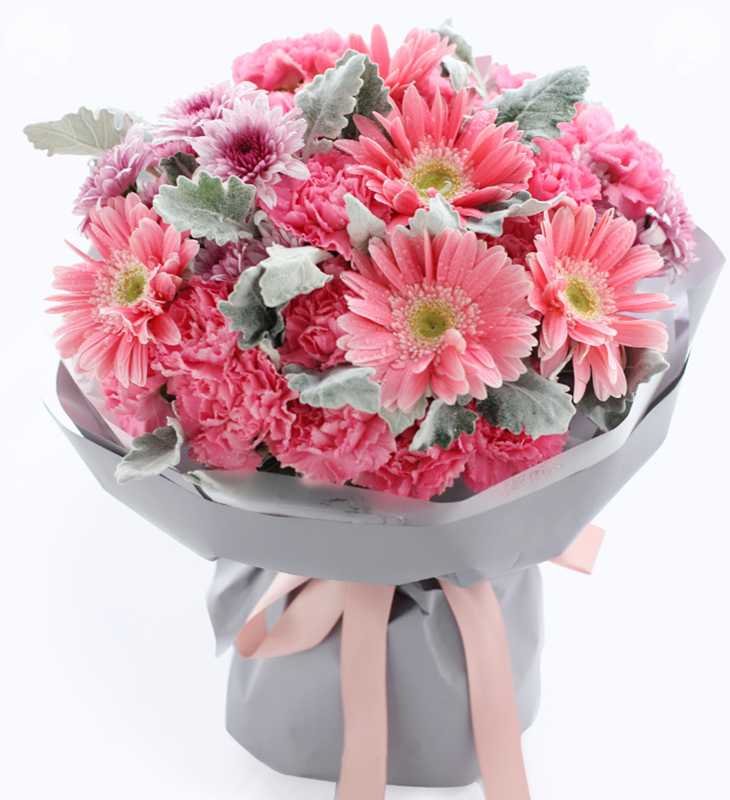嫣然---粉色康乃馨19枝，粉色扶郎花5枝，紫色小雏菊3枝，银叶菊10枝 白色雾面纸，香芋紫／浅紫人造纸，粉色缎带花结（1211）