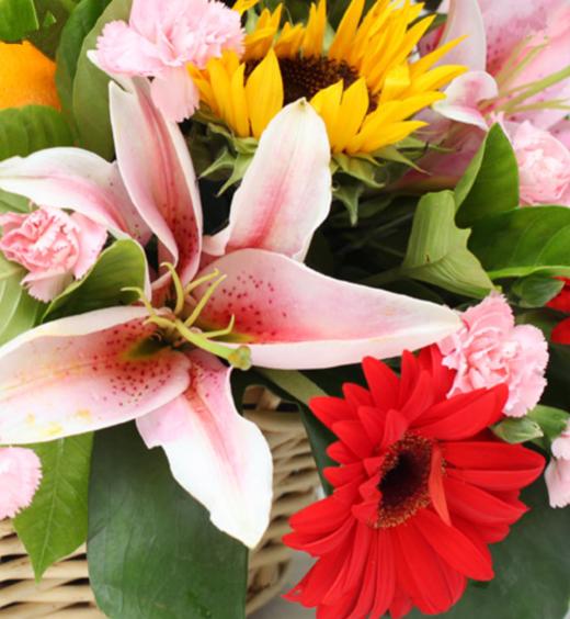 水果花篮  粉香水百合1枝,向日葵2枝,粉玫瑰2枝,红色扶郎9枝, 粉色康乃馨+红色康乃馨间插,中间剑叶,绿叶适 藤编有柄花篮（花篮样式依城市不同有所差异，以当地出货为准）,粉色花结一个（1210） 商品图1