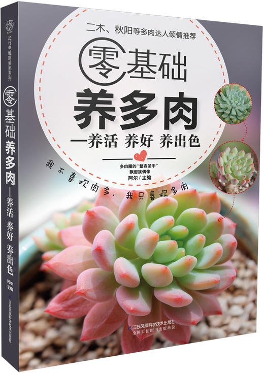 零基础养多肉——养活 养好 养出色  （300余张多肉美图学养肉）多肉书花艺书籍养花书籍 商品图0