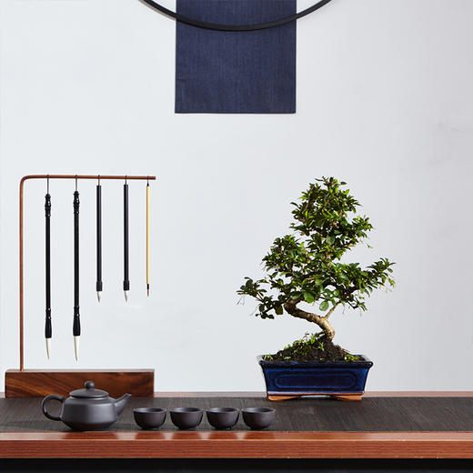 【绿居植物】福建茶弯曲（小）  石景盆栽 室内小绿植花卉盆景 办公室植物 商品图1