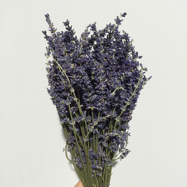 【进口】德国 薰衣草 干花(lavandula dried per bunch)