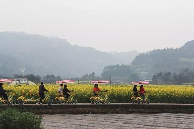 8折】赏犍为茉莉花香美景~188=2人~抢蜀南茉莉香都 双早 烧烤 篝火