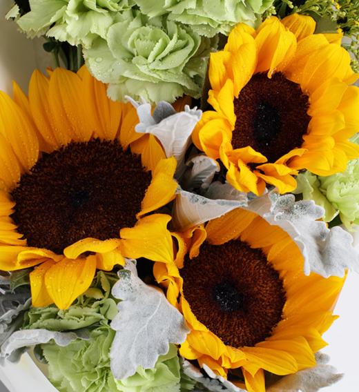 向日葵的夏天----向日葵3枝，绿色康乃馨6枝，小绿菊3枝，栀子叶2枝，黄莺4枝，银叶菊5枝 魔力铁山灰盒，白色雾面纸2张，绿色粗条纹罗文带1米(1222) 商品图3