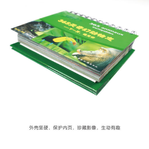 365天奇幻动物志 商品图5