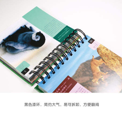 365天奇幻动物志 商品图6