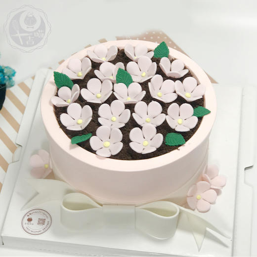 别致花盆 商品图1