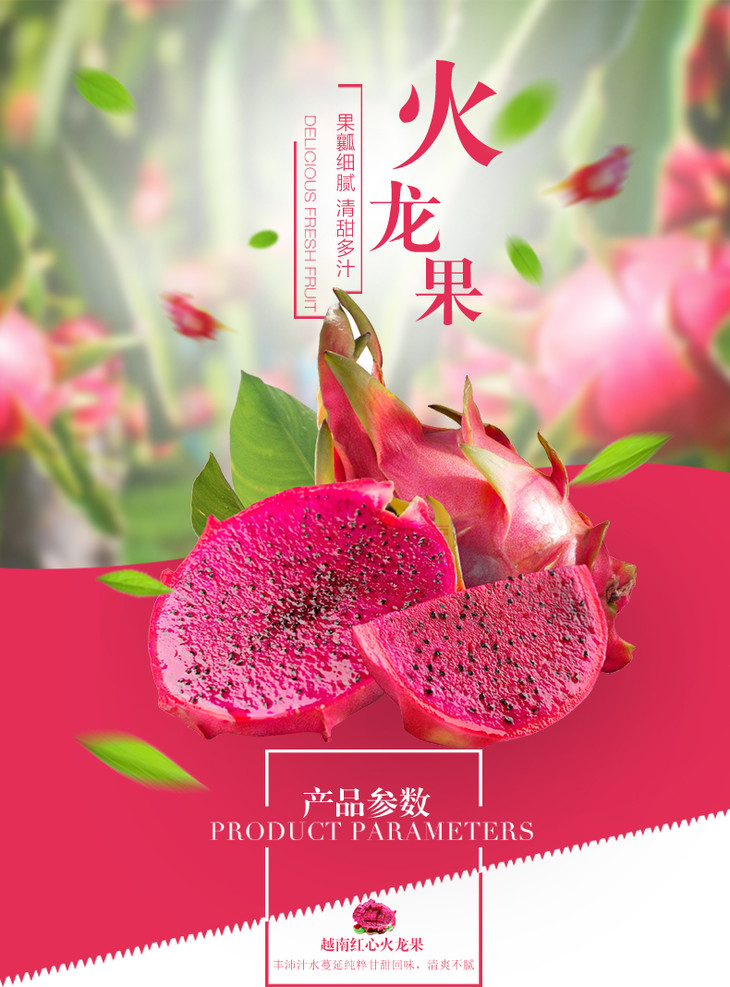 越南红心红肉火龙果新鲜毛重约5斤约4-6个
